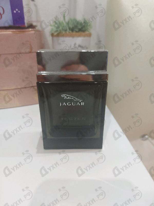 Отзывы Jaguar Vision