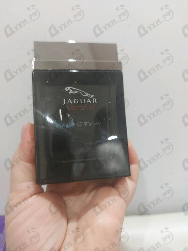 Купить Vision от Jaguar