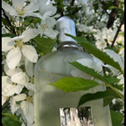 Парфюм Tom Ford Grey Vetiver