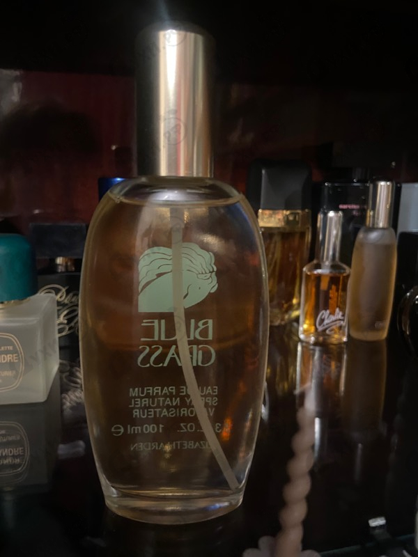 Купить Blue Grass от Elizabeth Arden