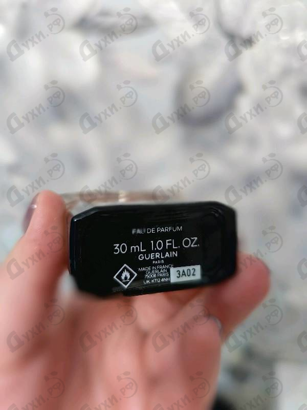 Парфюмерия La Petite Robe Noire от Guerlain