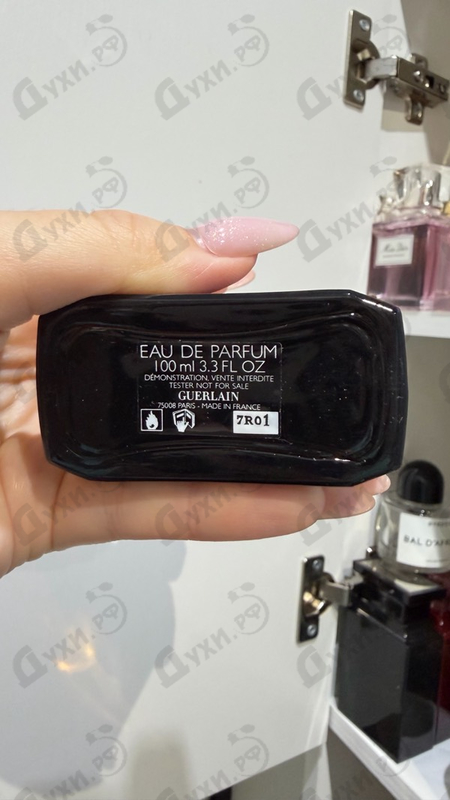 Купить La Petite Robe Noire от Guerlain