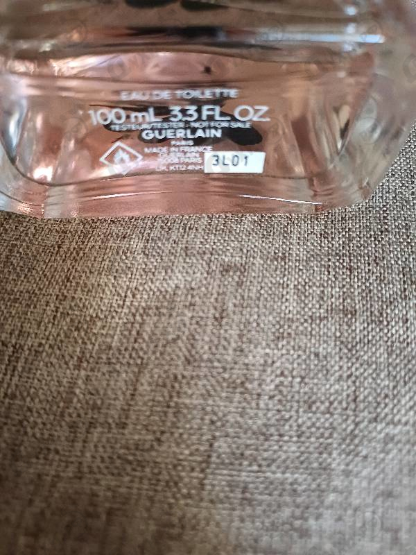 Парфюмерия La Petite Robe Noire от Guerlain