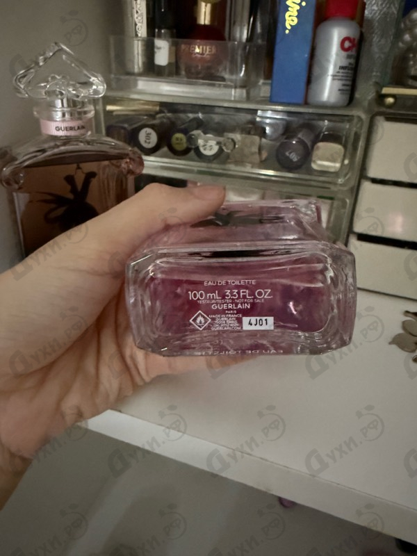 Купить Guerlain La Petite Robe Noire