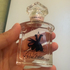 Парфюмерия La Petite Robe Noire от Guerlain