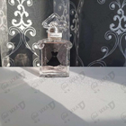 Парфюм Guerlain La Petite Robe Noire
