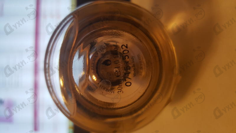 Парфюмерия Divina от La Perla