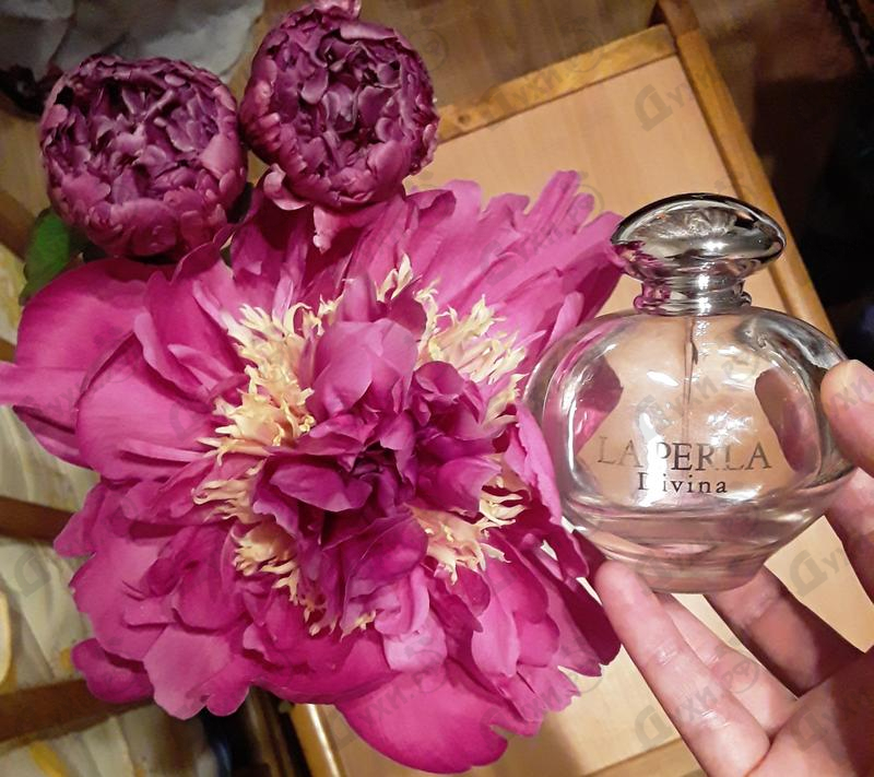 Отзывы La Perla Divina