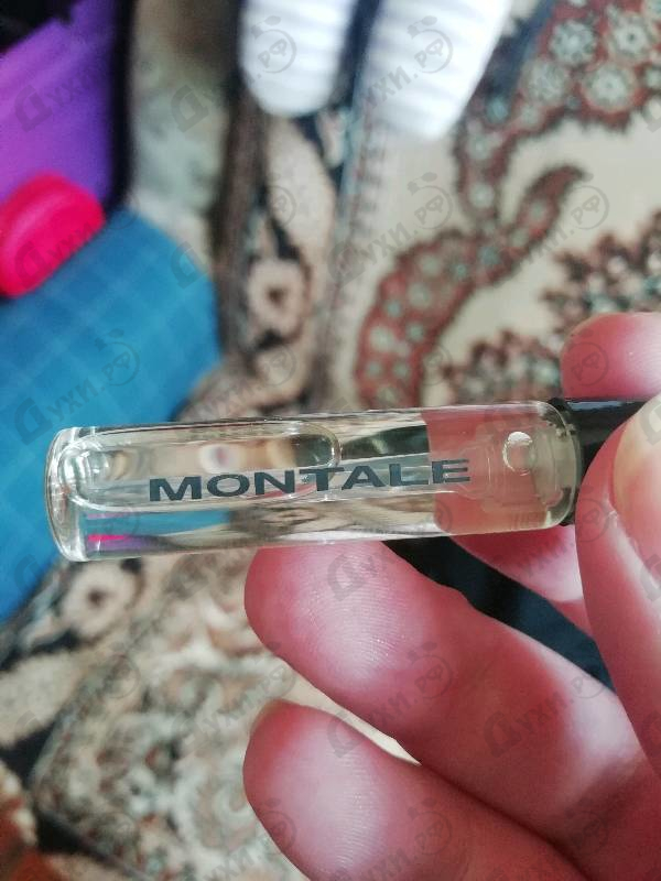 Купить Chypre Fruite от Montale