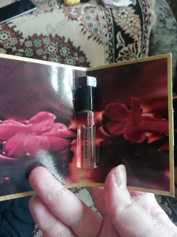 Отзыв Montale Chypre Fruite