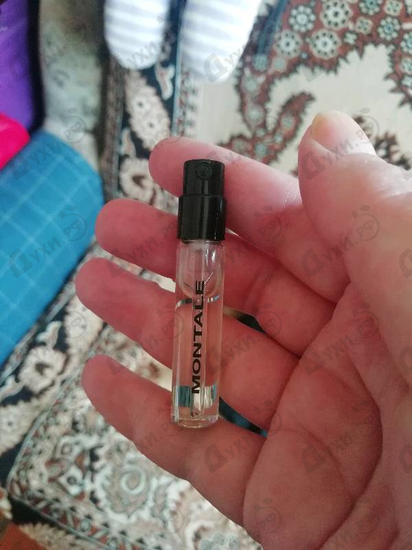 Купить Chypre Fruite от Montale