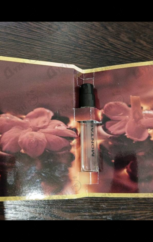 Парфюмерия Chypre Fruite от Montale