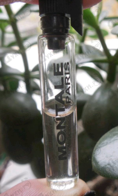 Купить Chypre Fruite от Montale