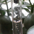 Отзыв Montale Chypre Fruite