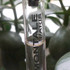 Купить Chypre Fruite от Montale