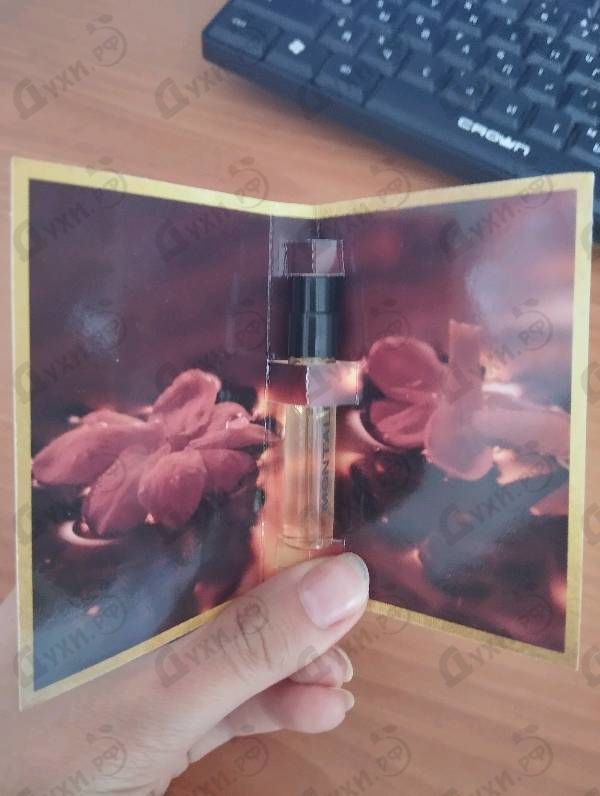 Парфюмерия Mango Manga от Montale