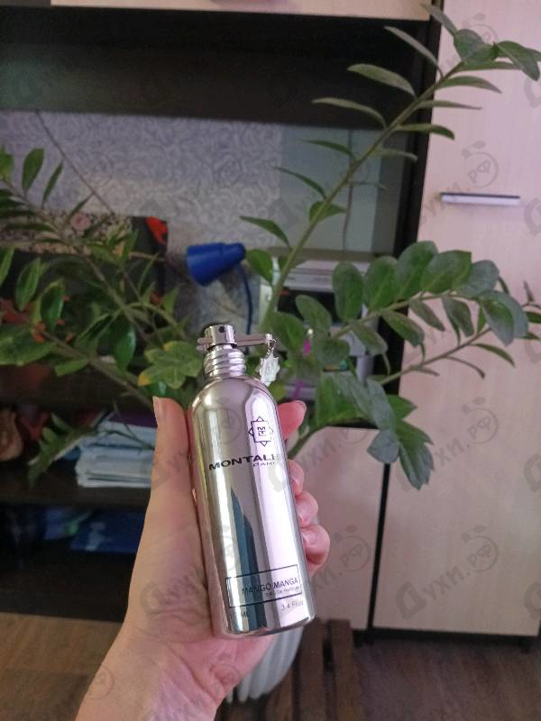 Духи Mango Manga от Montale