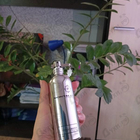 Духи Mango Manga от Montale