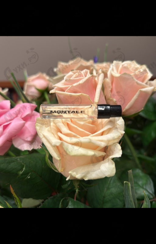 Парфюмерия Montale Roses Elixir