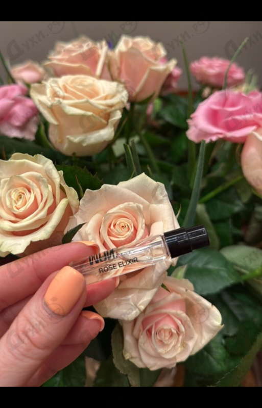 Парфюмерия Roses Elixir от Montale