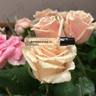Отзыв Montale Roses Elixir