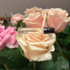Парфюмерия Montale Roses Elixir