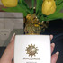Парфюмерия Honour от Amouage