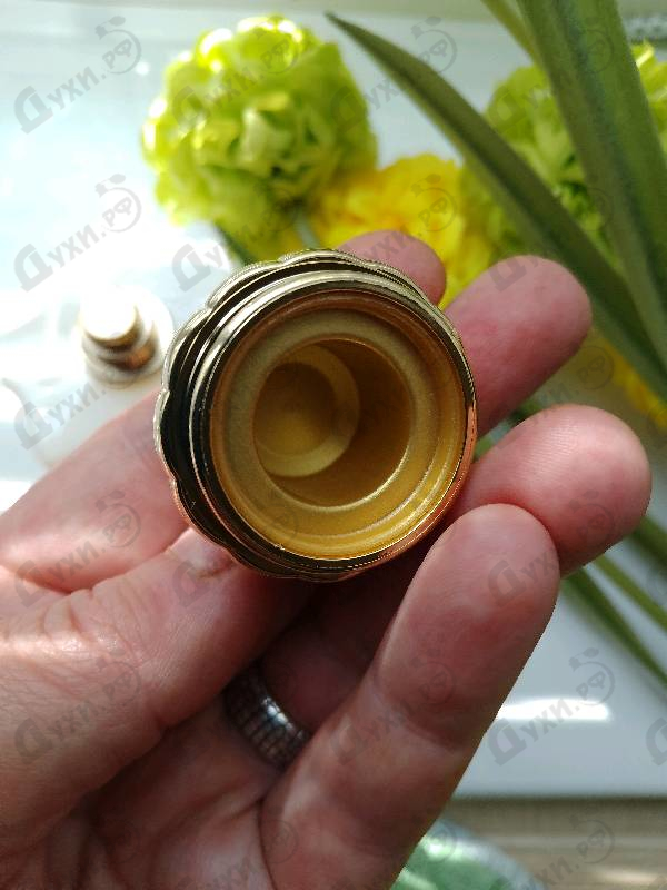 Духи Honour от Amouage