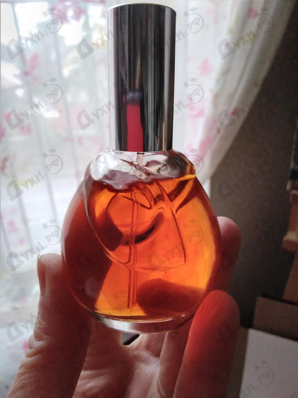 Купить Chloe Chloe