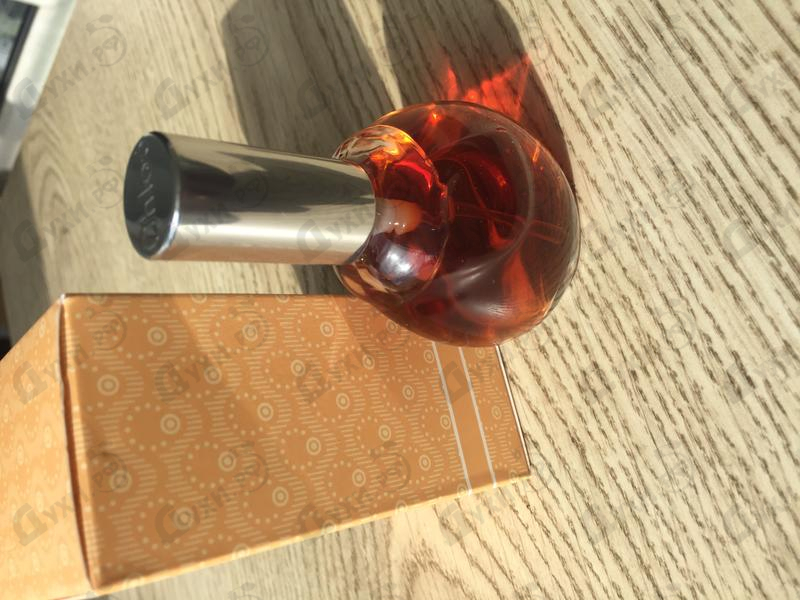 Отзыв Chloe Chloe