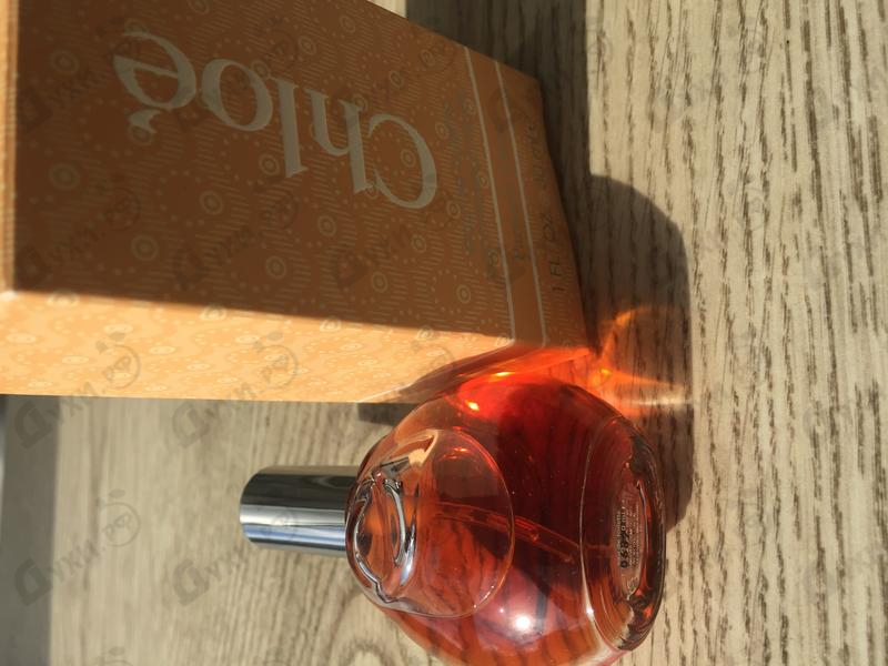 Купить Chloe от Chloe