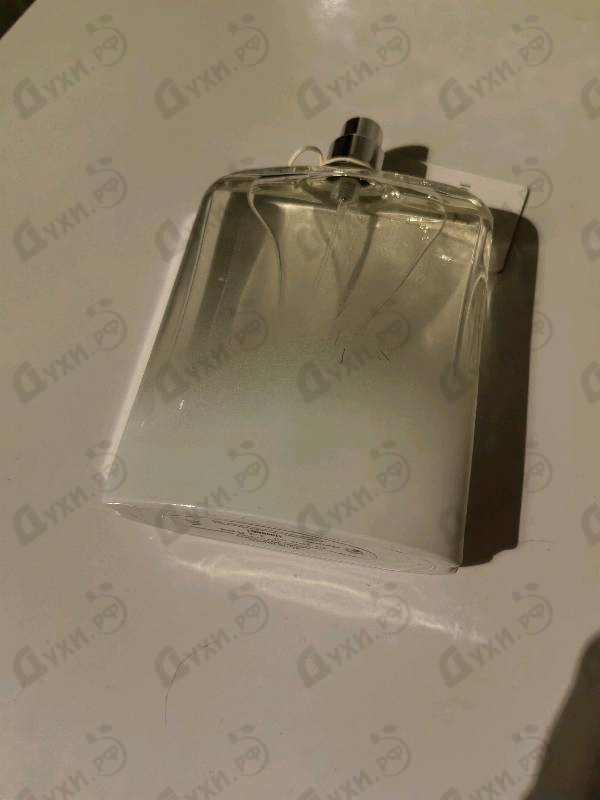 Купить Donna от Trussardi