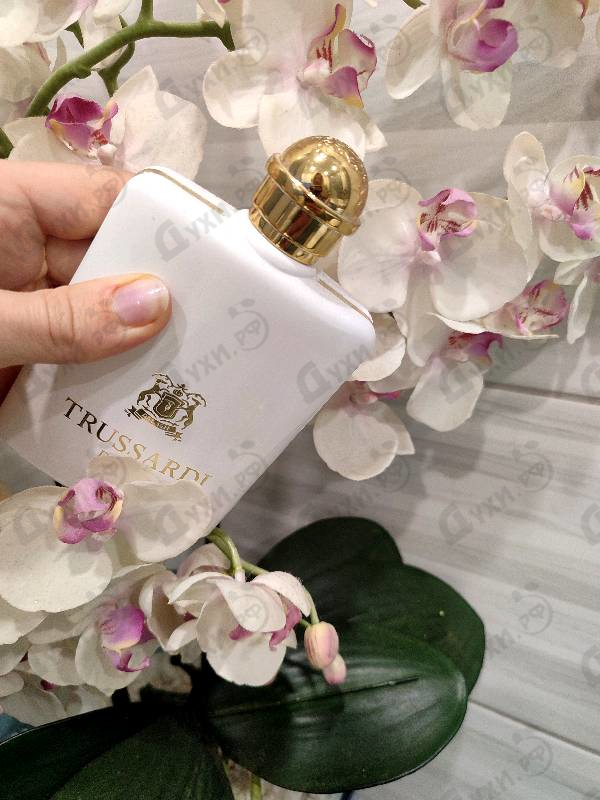 Купить Trussardi Donna