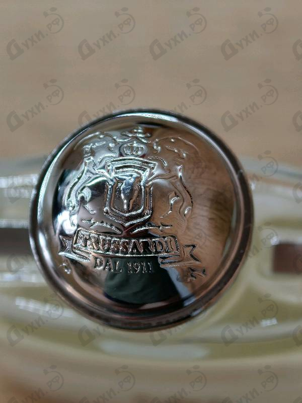 Купить Donna от Trussardi