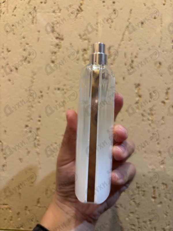 Купить Donna от Trussardi