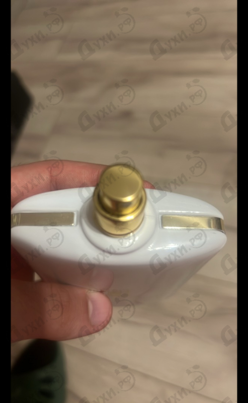 Купить Donna от Trussardi