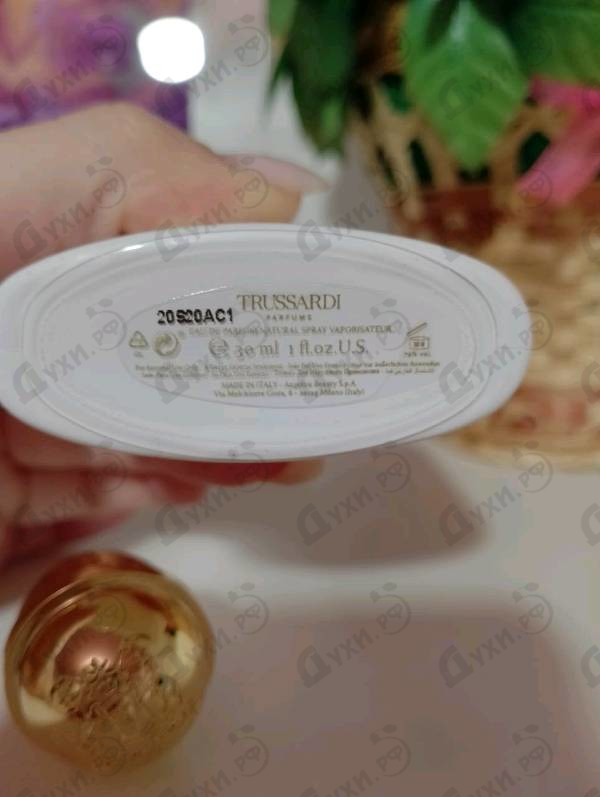 Купить Donna от Trussardi