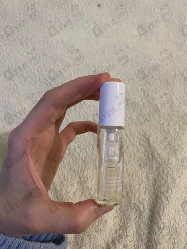 Купить Donna от Trussardi