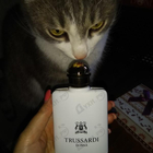 Отзывы Trussardi Donna