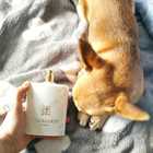 Отзывы Trussardi Donna