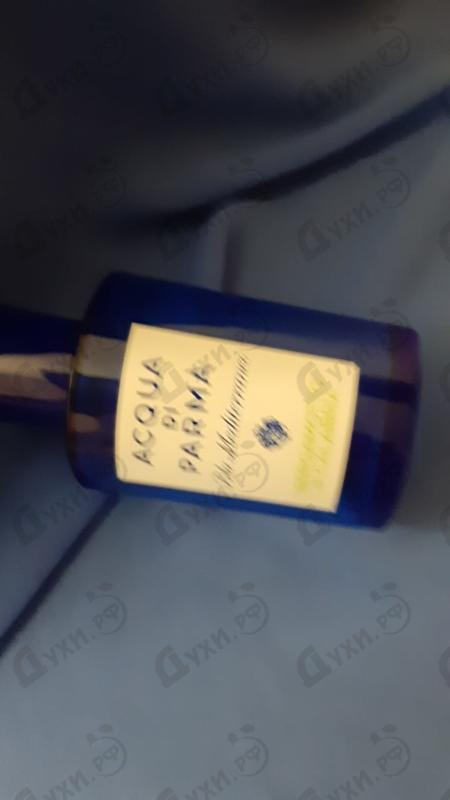 Отзывы Acqua Di Parma Blu Mediterraneo Bergamotto Di Calabria Парфюмерия Blu Mediterraneo Bergamotto Di Calabria от Acqua Di Parma