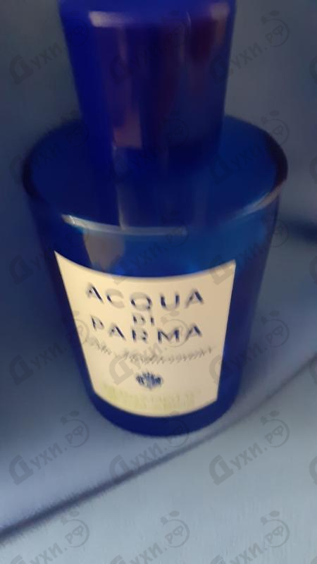 Отзыв Acqua Di Parma Blu Mediterraneo Bergamotto Di Calabria Духи Blu Mediterraneo Bergamotto Di Calabria от Acqua Di Parma