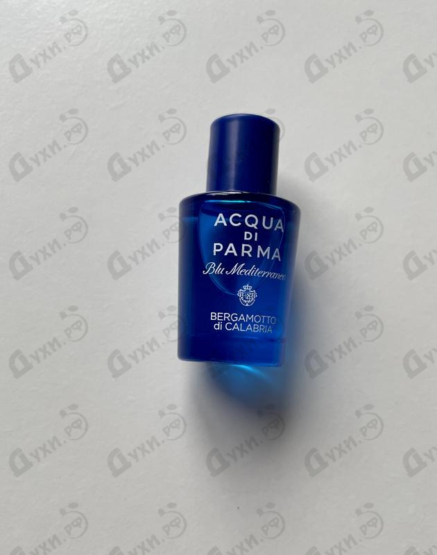Купить Blu Mediterraneo Bergamotto Di Calabria от Acqua Di Parma