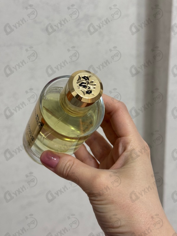 Духи Wild Fruits от Mancera