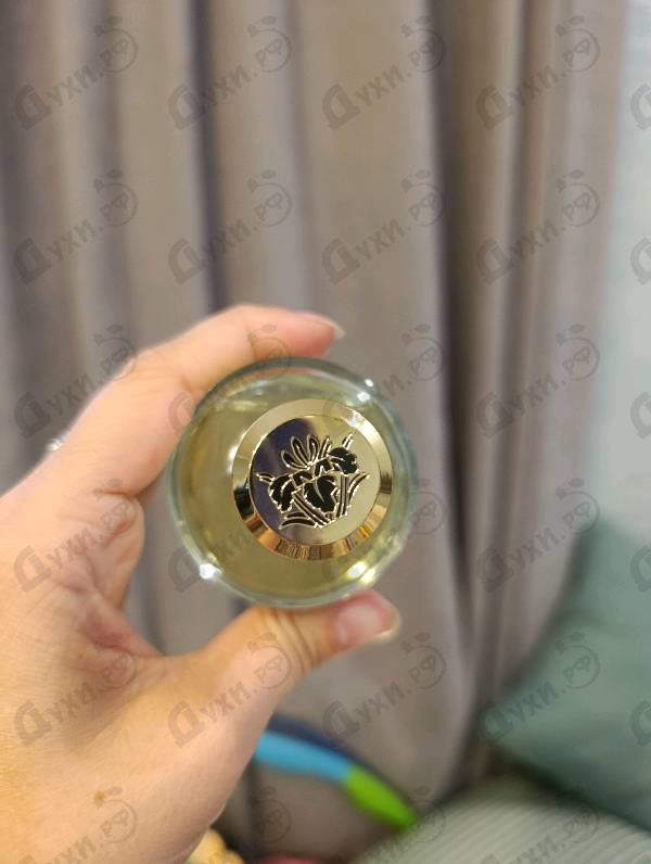 Парфюмерия Wild Fruits от Mancera