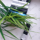 Духи Wild Fruits от Mancera