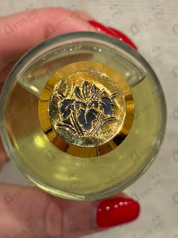 Купить Wild Fruits от Mancera