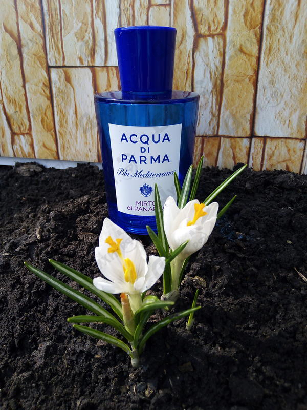 Духи Blu Mediterraneo Mirto Di Panarea от Acqua Di Parma