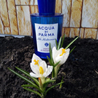 Отзыв Acqua Di Parma Blu Mediterraneo Mirto Di Panarea