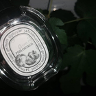 Отзывы Diptyque Philosykos